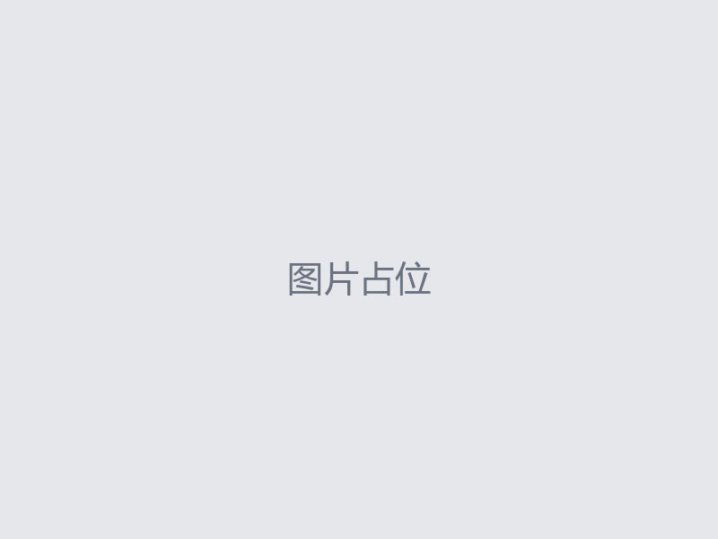 熊猫一八六九